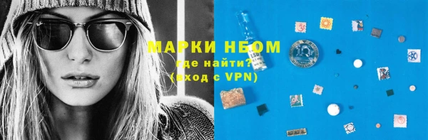 индика Нефтегорск