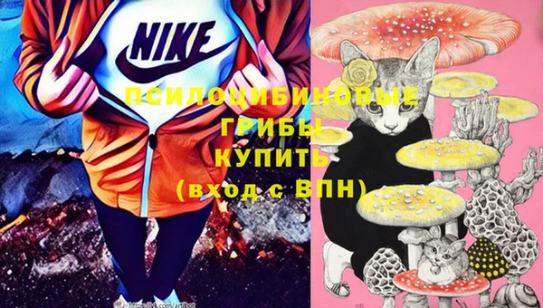 индика Нефтегорск