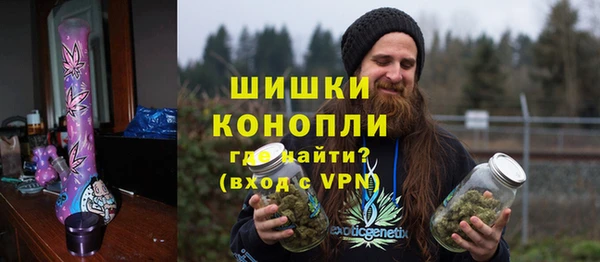 мет Новозыбков